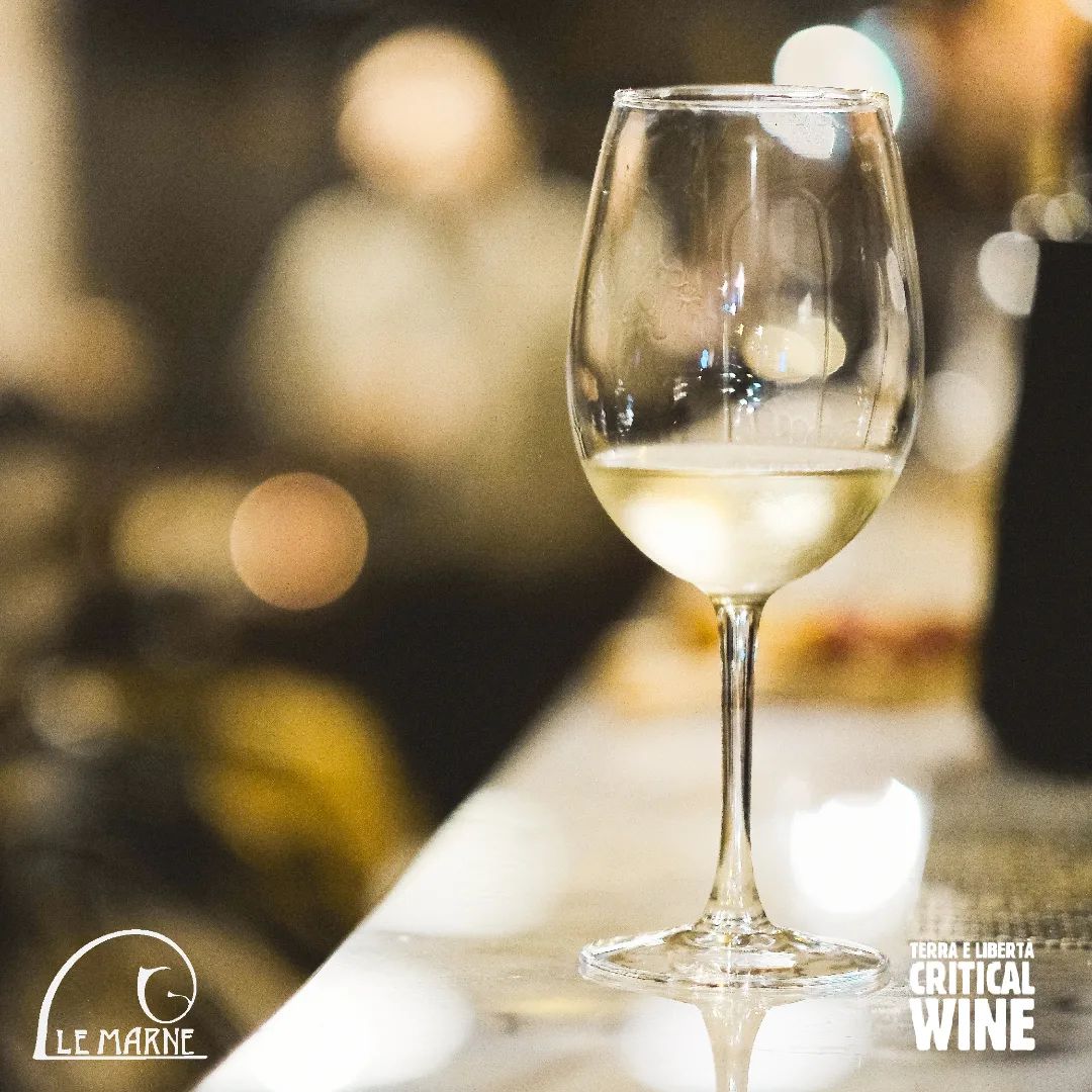 Domani ci trovi a @lsoa.buridda per il #criticalwinegenova!
Due giornate di degustazioni con le nostre etichette di vini #bio, immersi in un'esperienza all'insegna del rispetto ambientale e sociale 🍷
Programma
•Sabato 12 dalle ore 15 alle ore 21
•Domenica 13 dalle ore 13 alle ore 19
Per info visita https://www.criticalwinegenova.org/
#lemarne #vini #vinibio #vinobio #festival #biologic #wine #biowine #sustainability #recycle #reuse #winetasting #degustation#gavi #whitewine #winedegustation @criticalwinegenova